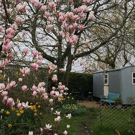 The Wayside Shepherd Hut Beaulieu Exterior foto