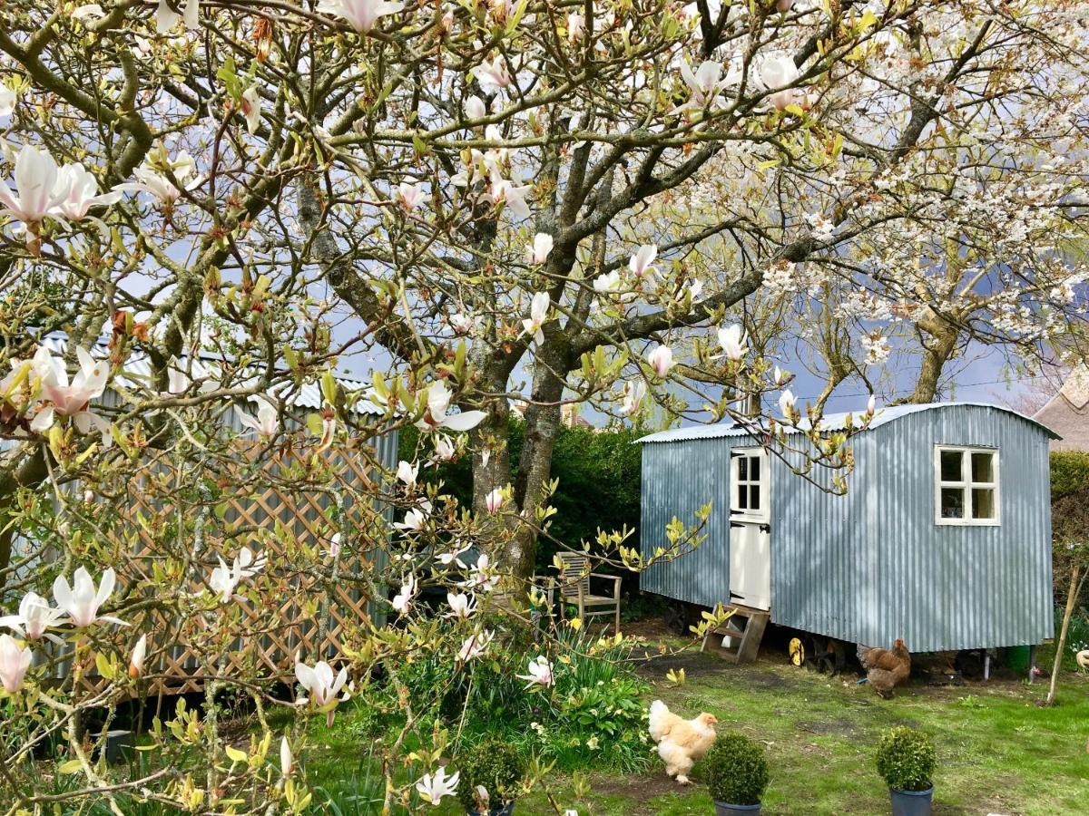 The Wayside Shepherd Hut Beaulieu Exterior foto