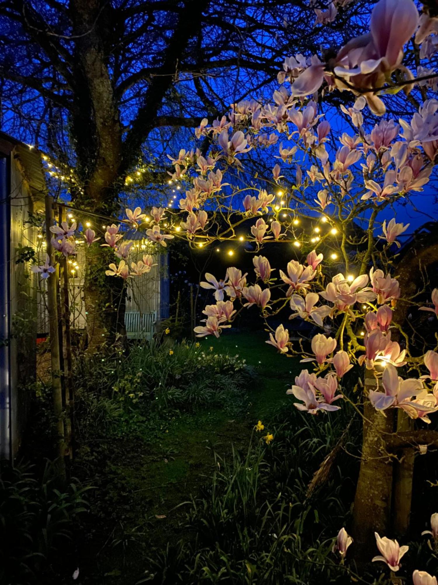 The Wayside Shepherd Hut Beaulieu Exterior foto